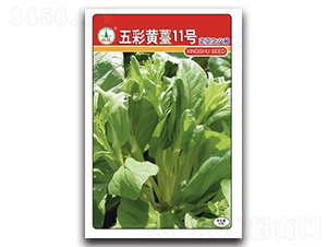 ����S޷11̖(h��o)-��̦�N��-�d�߷N�I(y��)