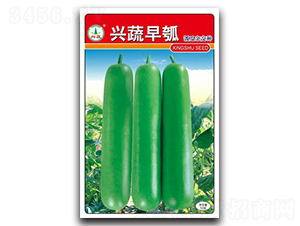 �d�����-�ϷN��-�d�߷N�I(y��)