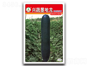 �d��ī����-���ϷN��-�d�߷N�I(y��)