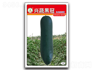 �d�ߺڹ�-���ϷN��-�d�߷N�I(y��)