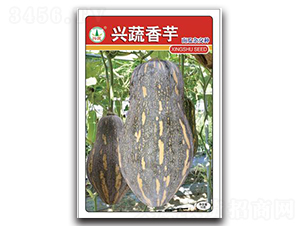 �d������-�ϹϷN��-�d�߷N�I(y��)