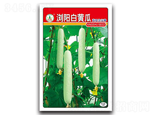 �gꖰ��S��-�S�ϷN��-�d�߷N�I(y��)