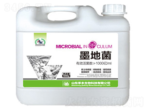 ΢�������-ī�ؾ�-���S����