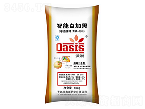 �������ܰ׼Ӻ�-�Wِ˹