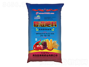 ���������(f��)���20-10-10-�Wِ˹