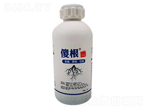 ������-ɵ��-���B(t��i)����