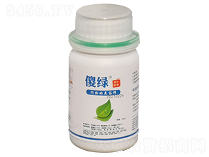 �~���-ɵ�G-���B(t��i)����