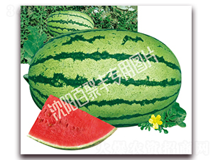 �����-���ϷN��-�پ��S