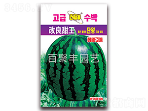 ��������-���ϷN��-�پ��S