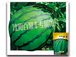 ���μ���-���ϷN��-�پ��S