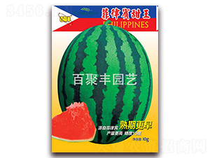 �����e����-���ϷN��-�پ��S