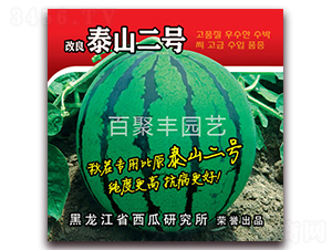 ����̩ɽ��̖(h��o)-���ϷN��-�پ��S