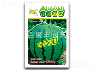 ���γ�82-���ϷN��-�پ��S