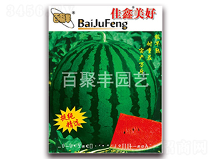 ��������-���ϷN��-�پ��S