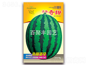 �ΊW����-���ϷN��-�پ��S