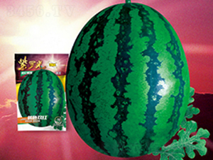 ���_��-���ϷN��-�پ��S