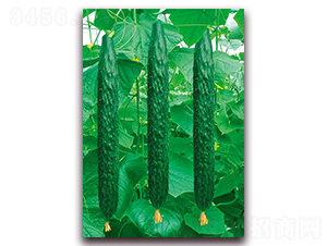 ���F1-�S�ϷN��-�A�r(n��ng)�N�I(y��)