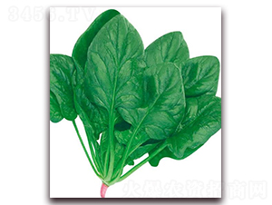 ���m�ö�����-���˷N��-�A�r�N�I(y��)