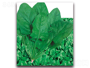 ����������������-���˷N��-�A�r�N�I(y��)