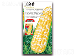 �����-�����׷N��-�A�r(n��ng)�N�I(y��)