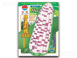 �A����Ŵ3000-Ŵ���׷N��-�A�r(n��ng)�N�I(y��)