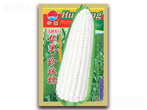 �A������Ŵ-Ŵ���׷N��-�A�r(n��ng)�N�I(y��)