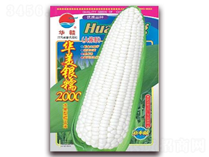 �A���yŴ2000-Ŵ���׷N��-�A�r(n��ng)�N�I(y��)