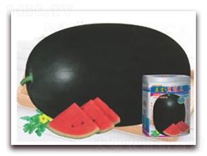 ����ڹ���-���ϷN��-�A�r(n��ng)�N�I(y��)