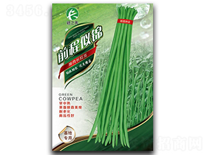 ǰ�����\-�����N��-�M�߷N�I(y��)