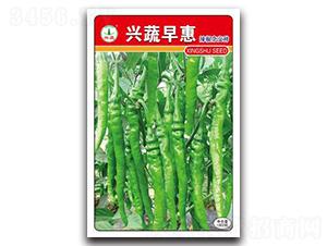 �d�����-�����N��-�d�߷N�I(y��)