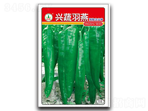 �d������-�����N��-�d�߷N�I(y��)