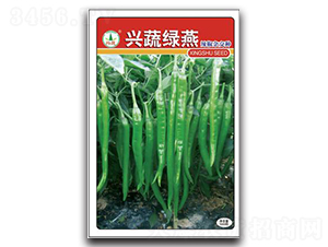 �d�߾G��-�����N��-�d�߷N�I(y��)