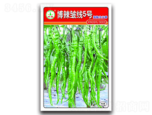 ��������5̖-�����N��-�d�߷N�I(y��)