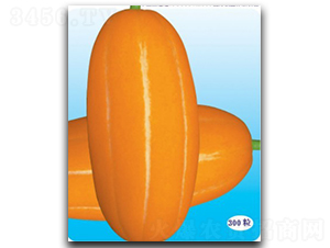 ������-��ϷN��-�մ��r(n��ng)�I(y��)