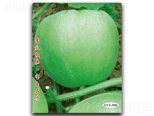 ِ����-��ϷN��-�մ��r(n��ng)�I(y��)