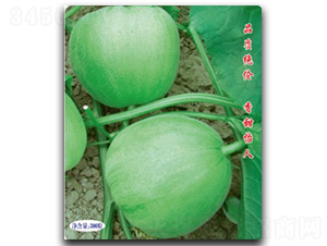 �G��ʯ-��ϷN��-�մ��r(n��ng)�I(y��)