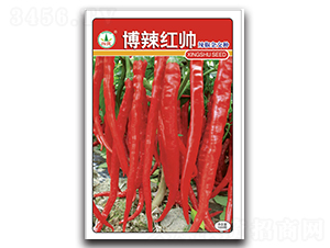 �����t��-�����N��-�d�߷N�I(y��)