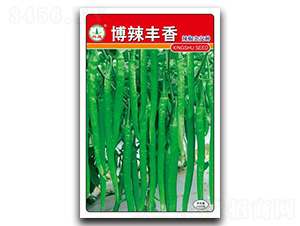 �����S��-�����N��-�d�߷N�I(y��)