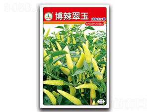 ��������-�����N��-�d�߷N�I(y��)