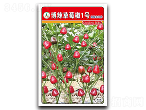 ������ݮ��1̖-�����N��-�d�߷N�I(y��)