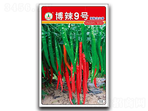 ����9̖-�����N��-�d�߷N�I(y��)