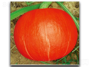 �t�S603-�ϹϷN��-�մ��r(n��ng)�I(y��)