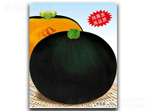 ������-�ϹϷN��-�մ��r(n��ng)�I(y��)