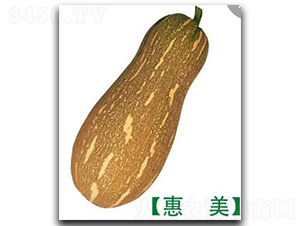 �����Ϲ�-�ϹϷN��-�մ��r(n��ng)�I(y��)