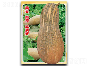 ���S�ܱ�-�ϹϷN��-�մ��r(n��ng)�I(y��)