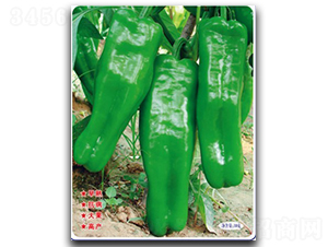 �����ޟo��-�����N��-�մ��r(n��ng)�I(y��)