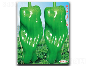 ������-�����N��-�մ��r(n��ng)�I(y��)