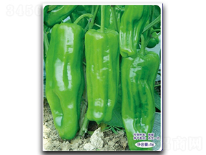 ����������-�����N��-�մ��r(n��ng)�I(y��)