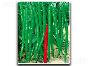 ����(y��u)11̖-�����N��-�մ��r(n��ng)�I(y��)