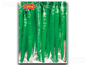 ���SA8-�����N��-�մ��r(n��ng)�I(y��)